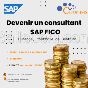 Formation SAP FICO : Finance, Contrôle de Gestion