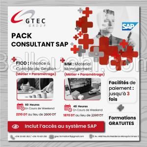 Packs Formation SAP MM/FICO: Métier et Paramétrage