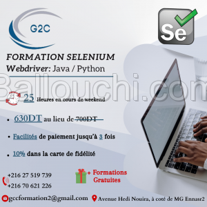 Formation Sélénium - Web Driver - avec JAVA / PYTHON