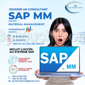 Formation SAP MM ( Material Management ) Paramétrage